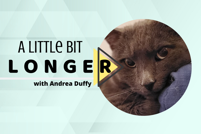 A Little Bit Longer with Andrea Duffy