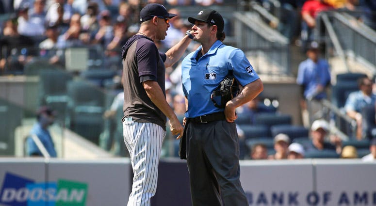 'Boomer And Gio': Are Umpires Retaliating Against Yankees For 'Savages' Video?