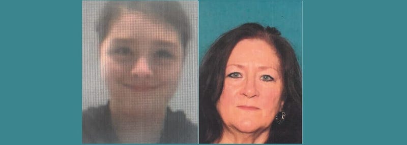 Grandmother kidnaps granddaughter at gunpoint