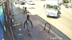 Suspect in deadly Westlake stabbing arrested
