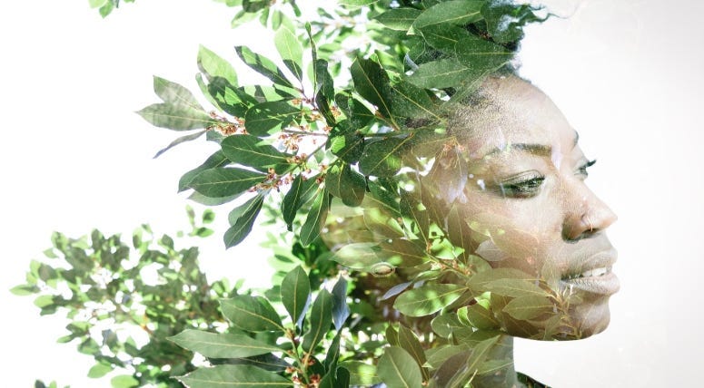 Eco-conscious Designs made to Unify.