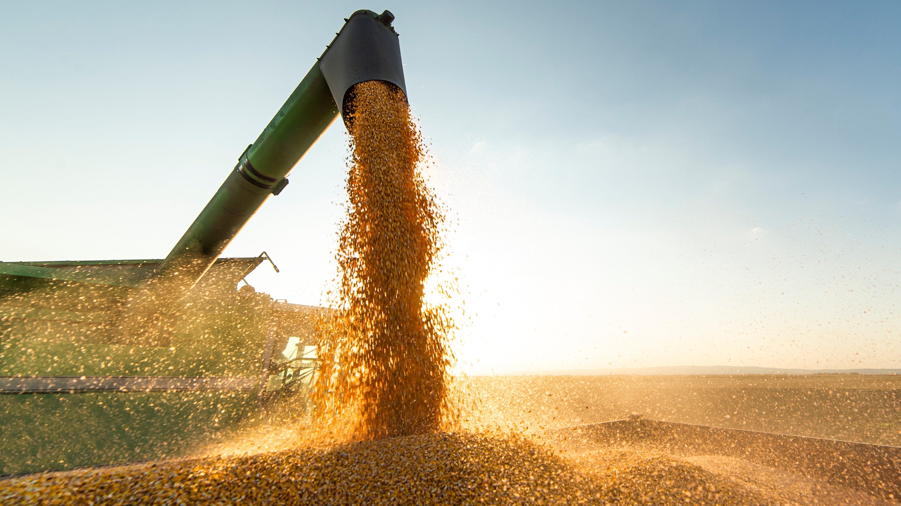 Help still needed as Minnesota farmers exit fall harvest season