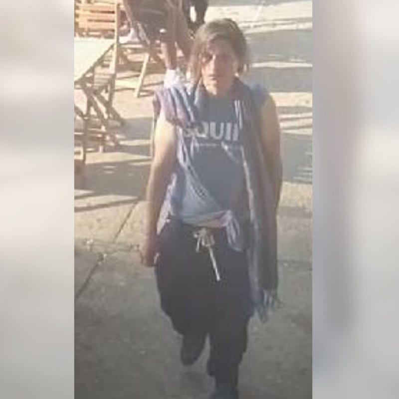 Vandal breaks 15 Pride flags across from Stonewall Inn