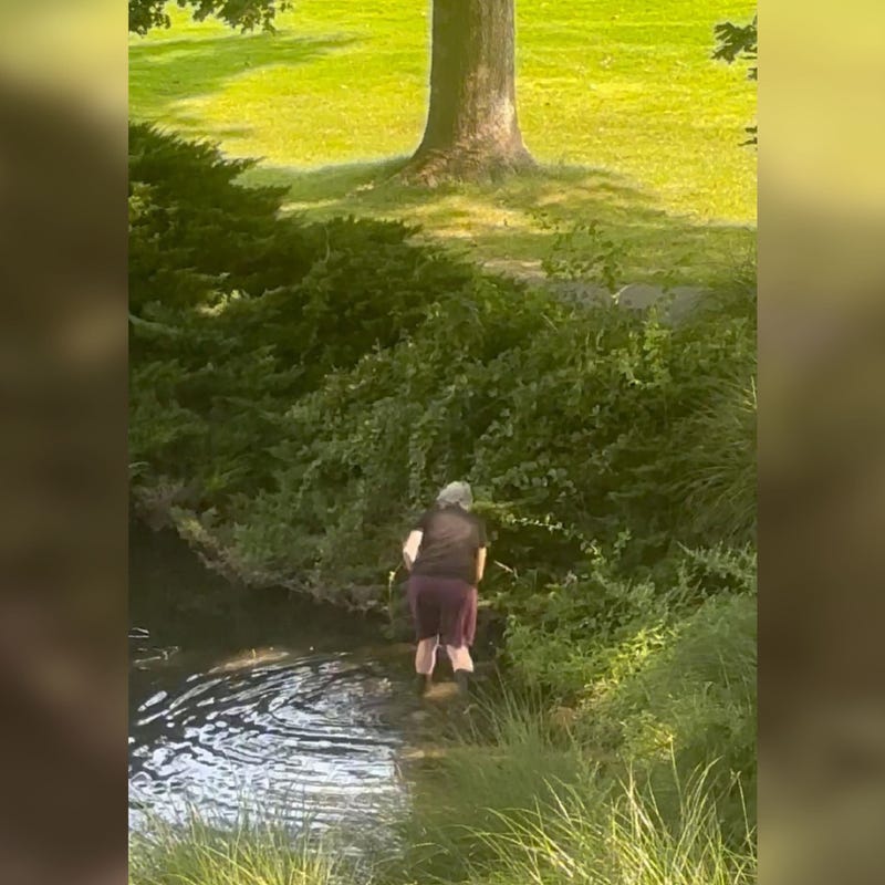 Woman charged with fatally beating duck on Long Island