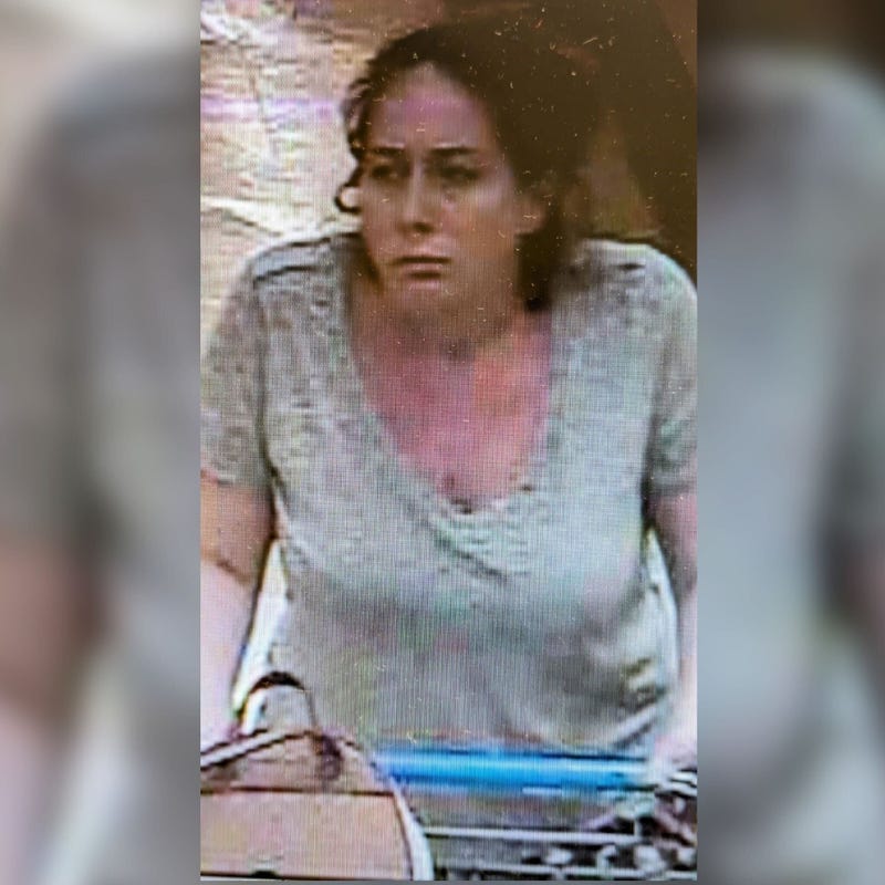 Alleged shoplifter rams security guard with shopping cart at LI Stop & Shop