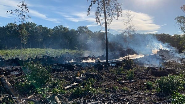 DNR investigating suspected arson in southwest Michigan