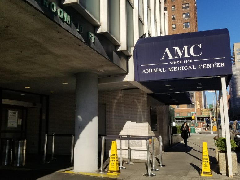  Animal Medical Center)