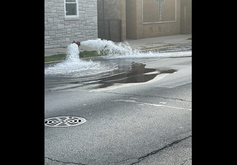 Chicago Fire Department