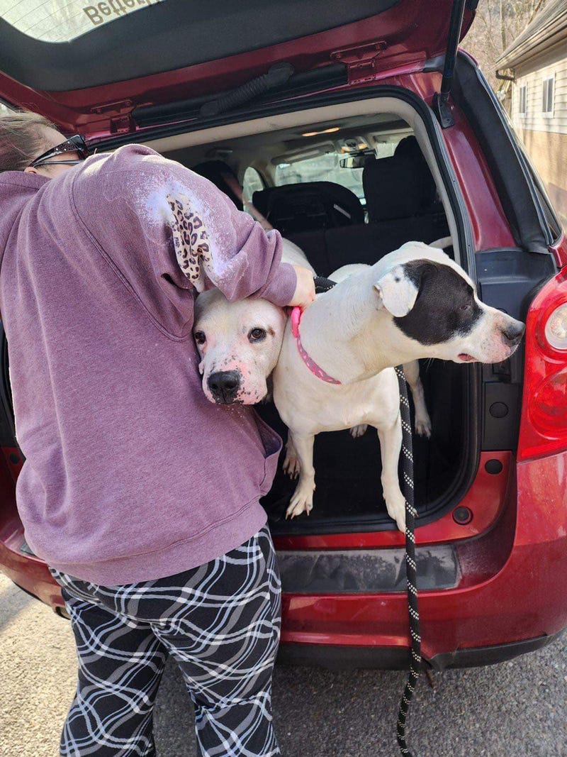Image of woman who dumped two dogs near Griffin Pond Animal Shelter