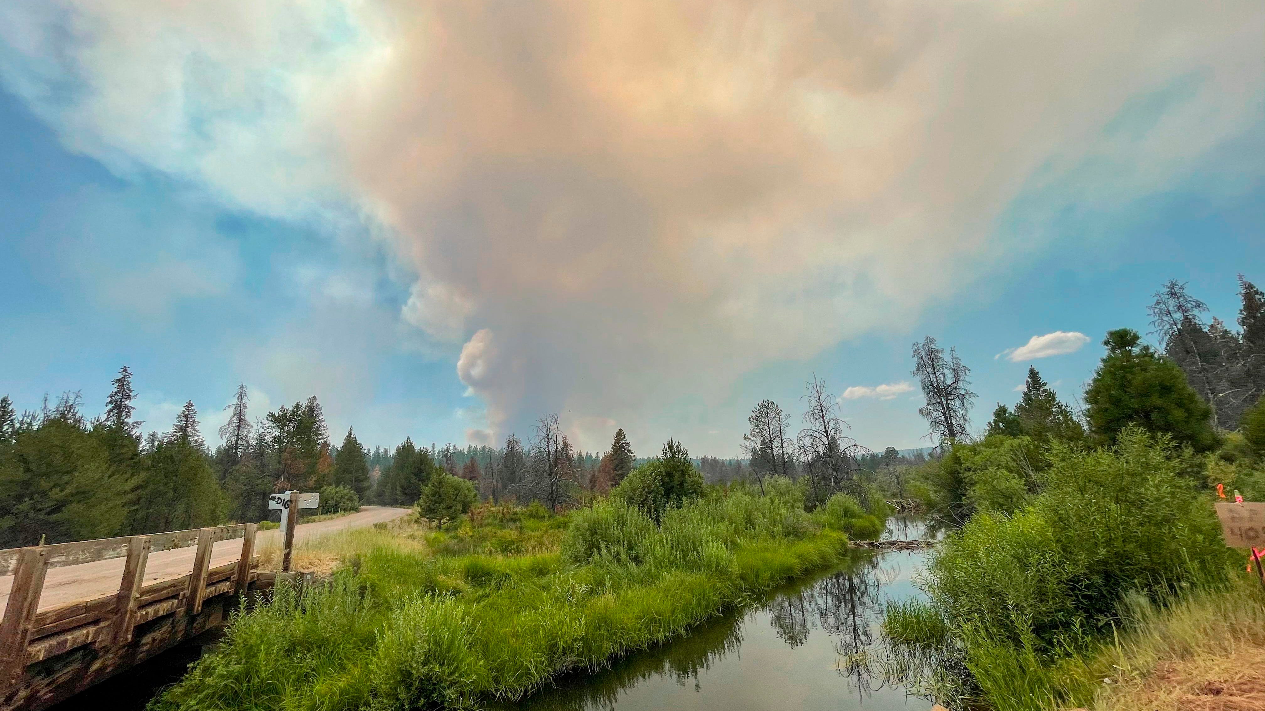 Monster wildfire tests years of forest management efforts