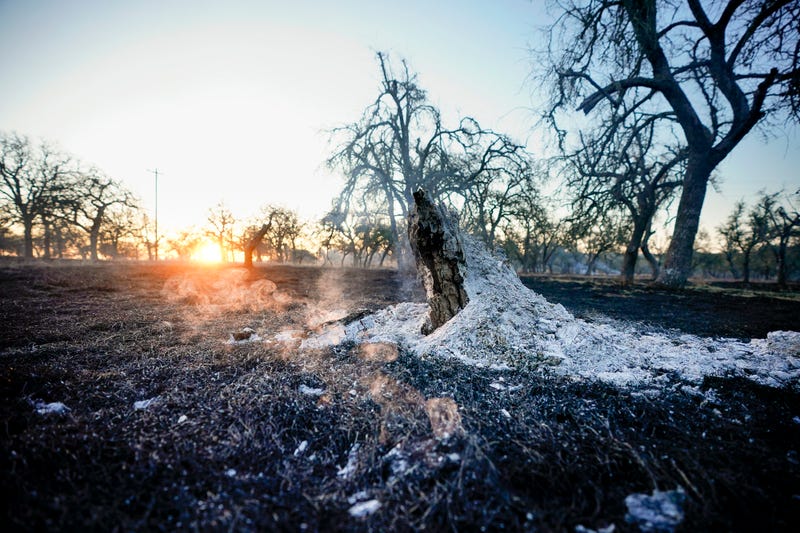 Severe Weather Wildfires