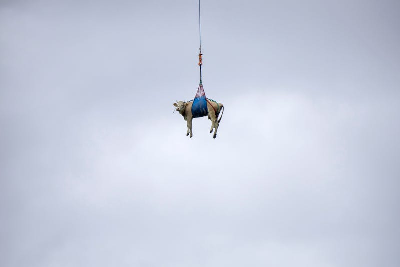 Switzerland-Alpine-Evacuation