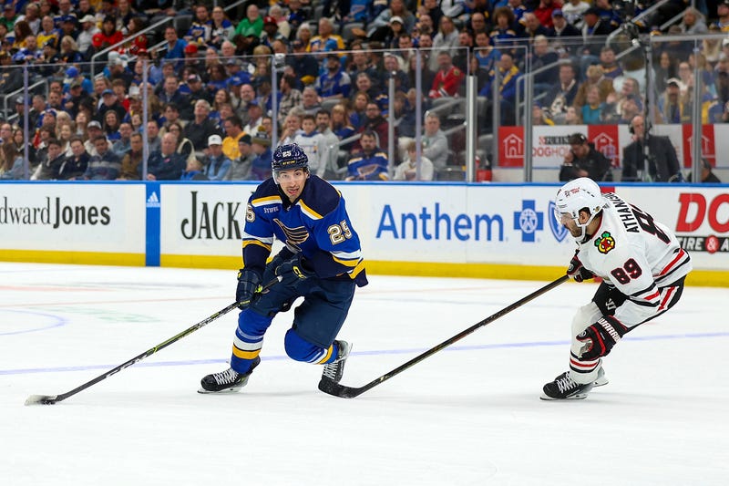 Blackhawks Blues Hockey