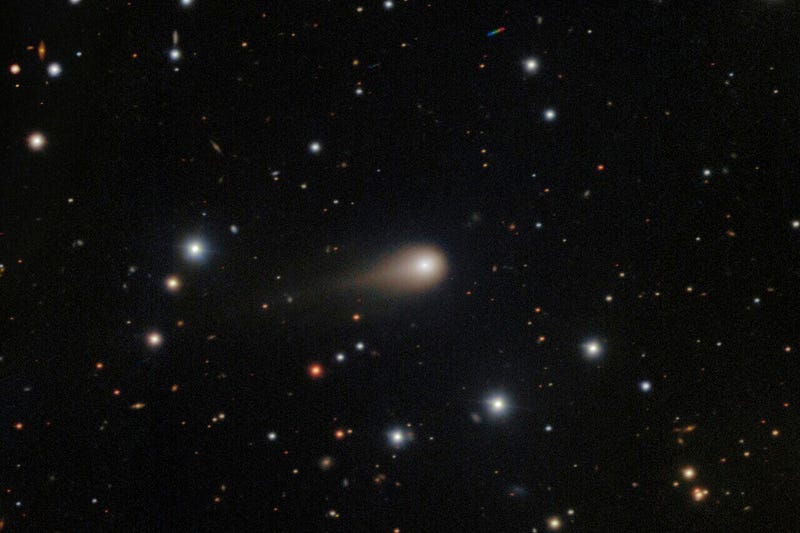 COMETA INTERESTELAR