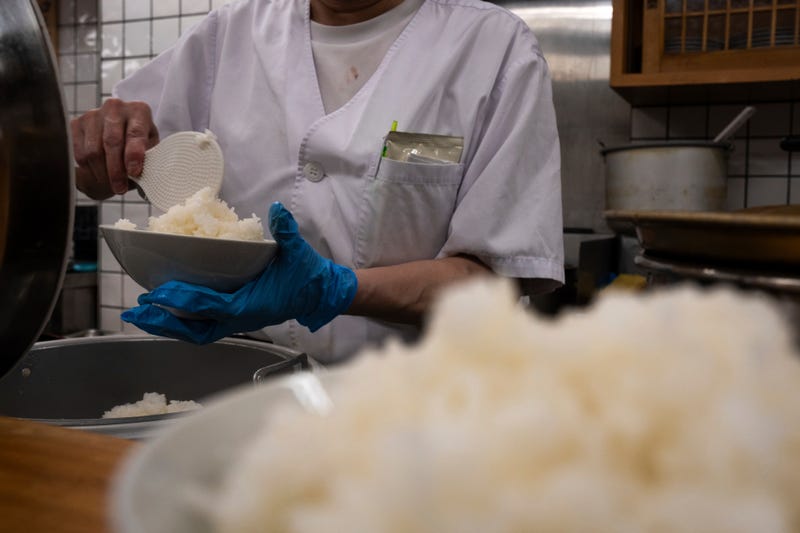 Japan Rice Explainer