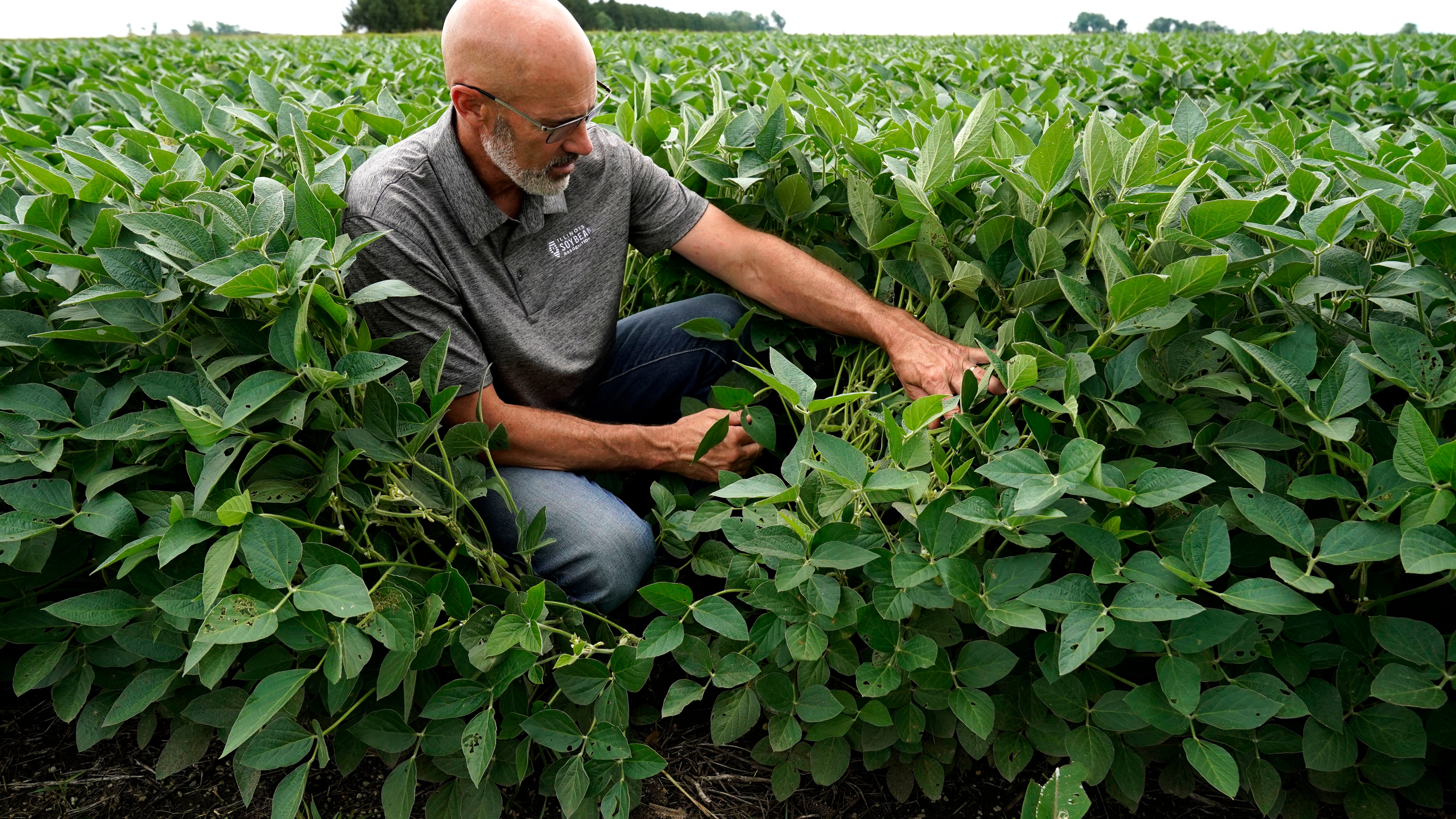 US asks farmers: Can you plant 2 crops instead of 1?