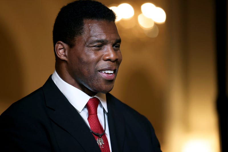 Election 2022 Georgia Senate Black Candidates