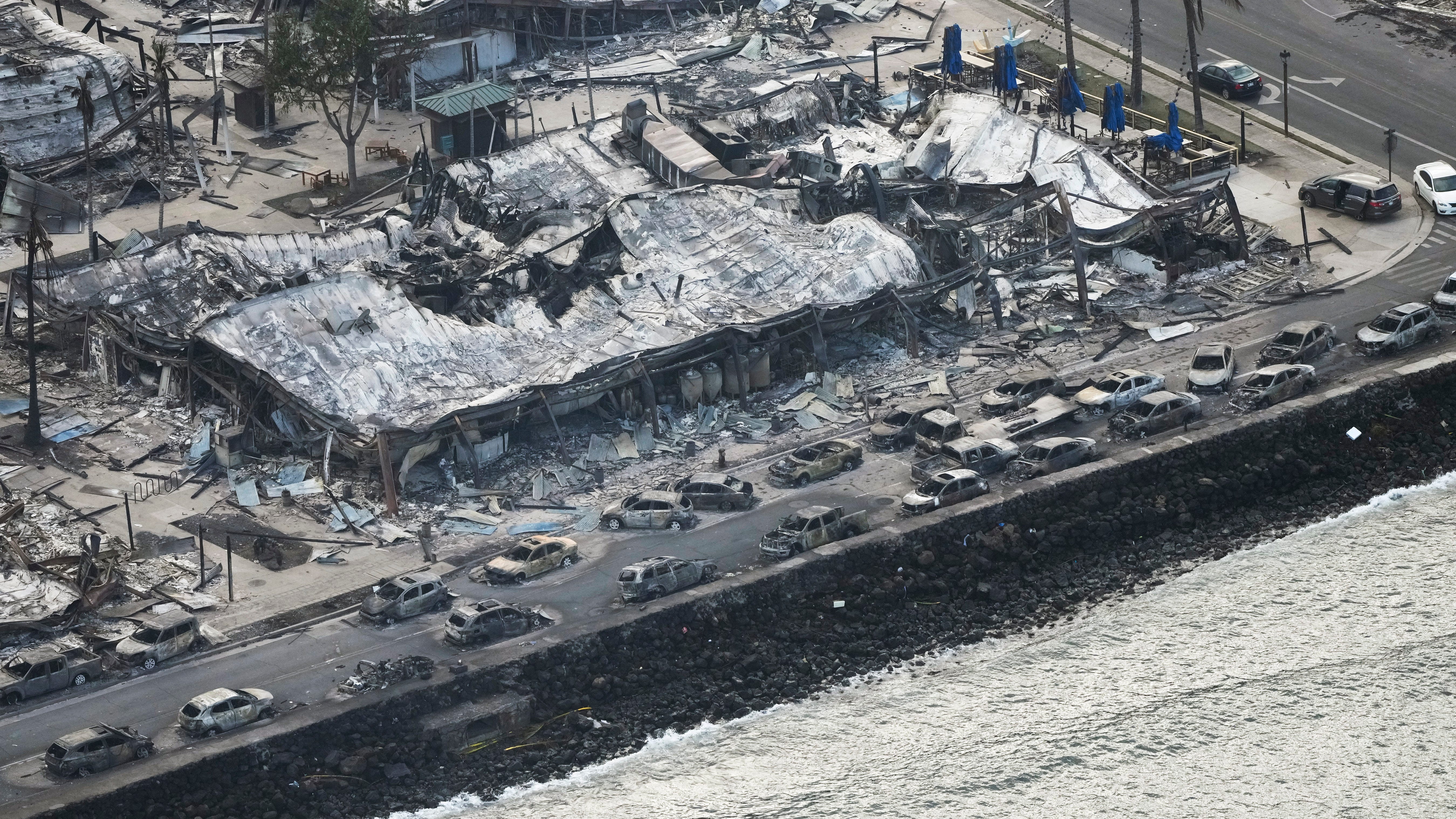 Hawaii animal welfare group says hundreds of pets have been injured or displaced by wildfires