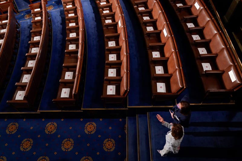 Biden 100 Days Congress