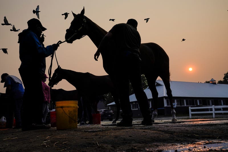 APTOPIX Belmont Stakes Horse Racing