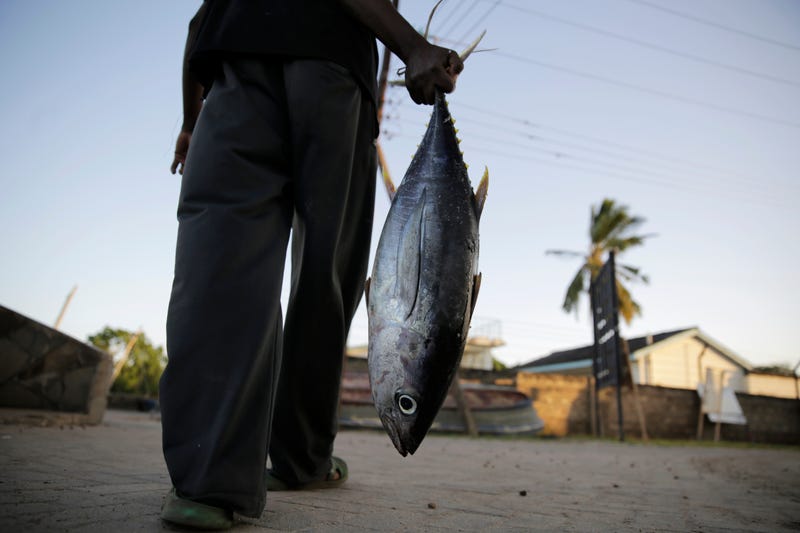 WTO Fisheries Subsidies