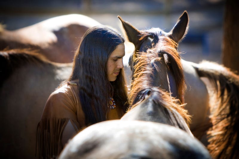 Horses Arrival American West