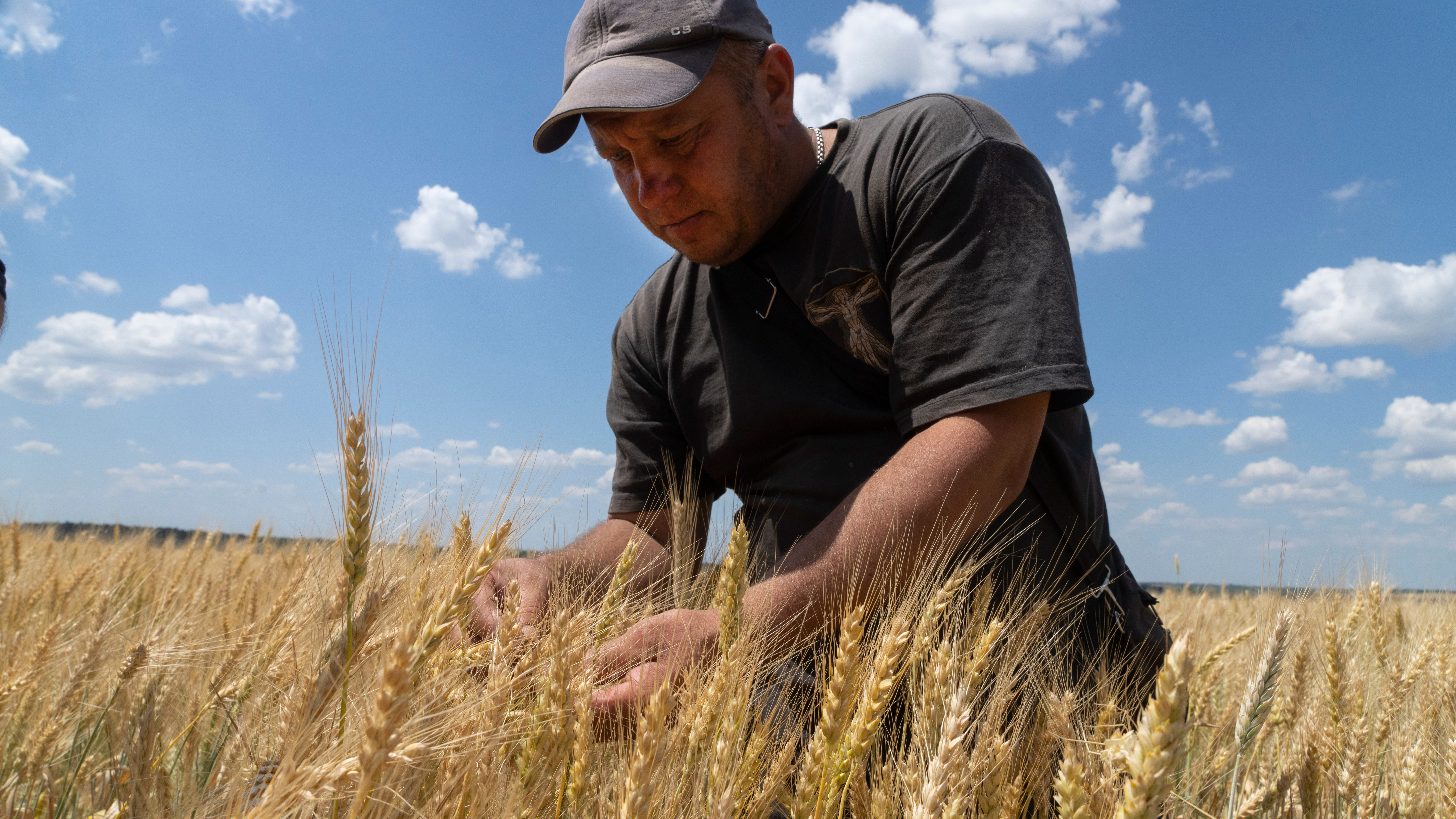 Russian, Ukrainian militaries discuss freeing grain exports