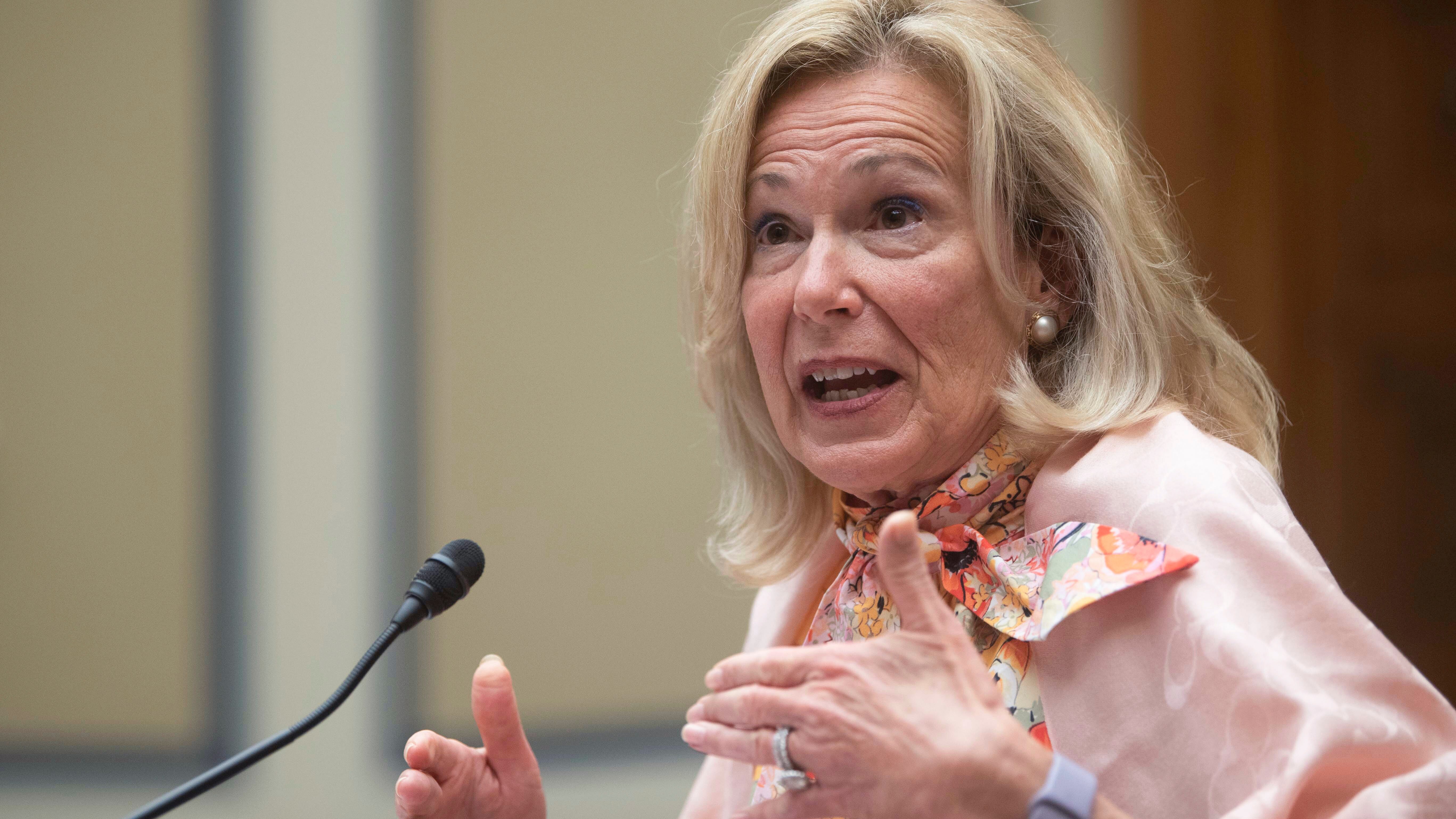 Birx describes a White House divided on COVID response