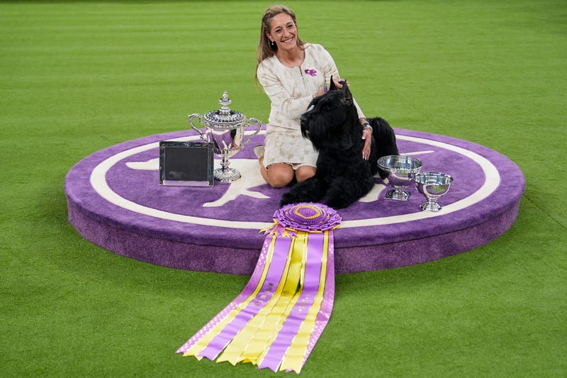 APTOPIX Westminster Dog Show