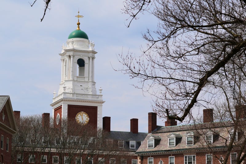 Trump Harvard