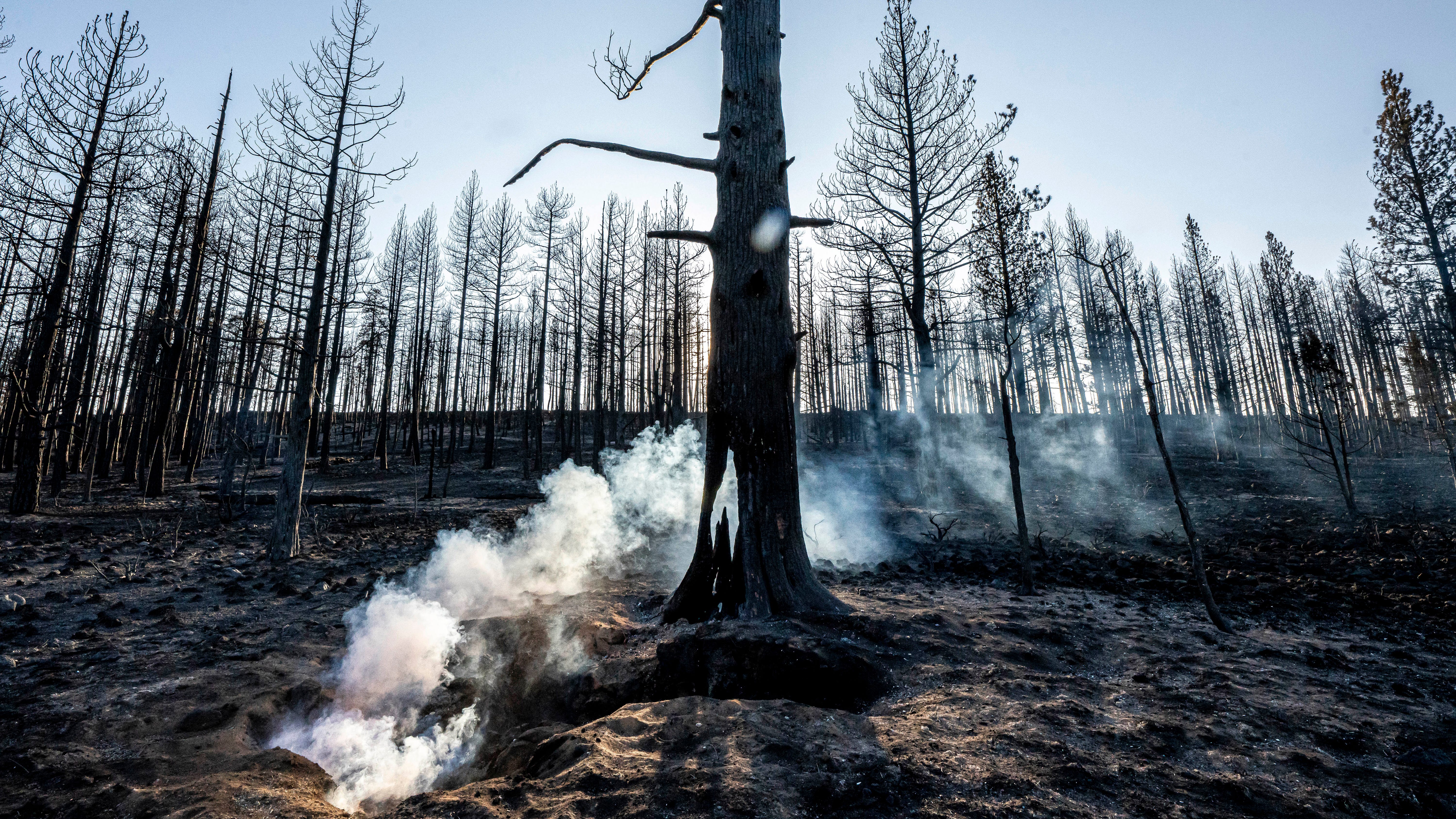 Western wildfires grow, but better weather helps crews