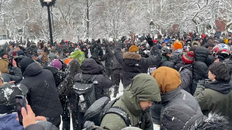 Snowball Fight-NYPD
