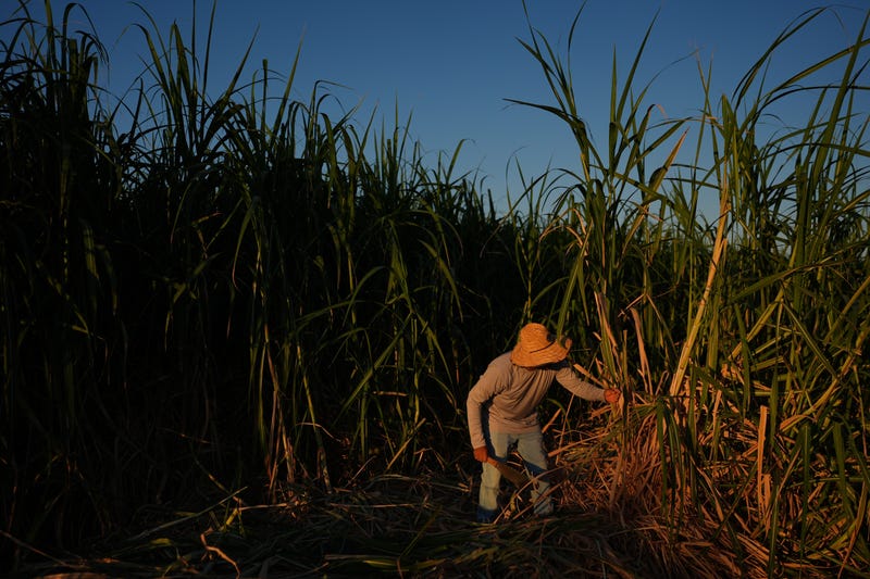 Climate Heat Farmworkers Study