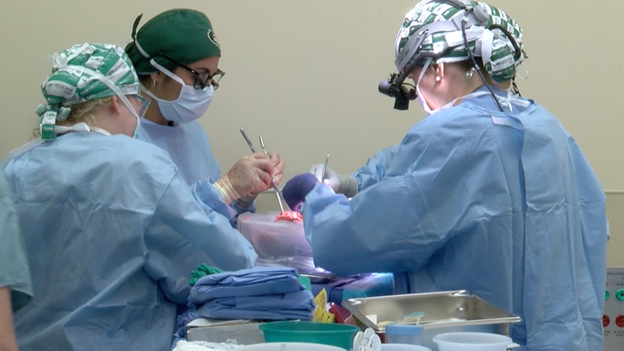 US researchers test pig-to-human transplant in donated body