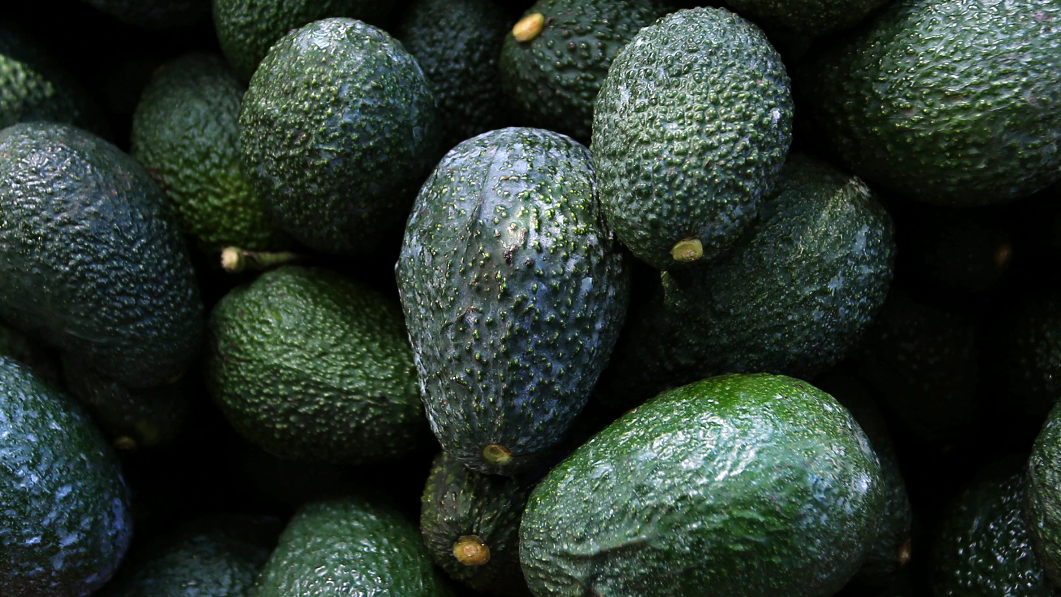 Mexico's avocados face fallout from violence, deforestation