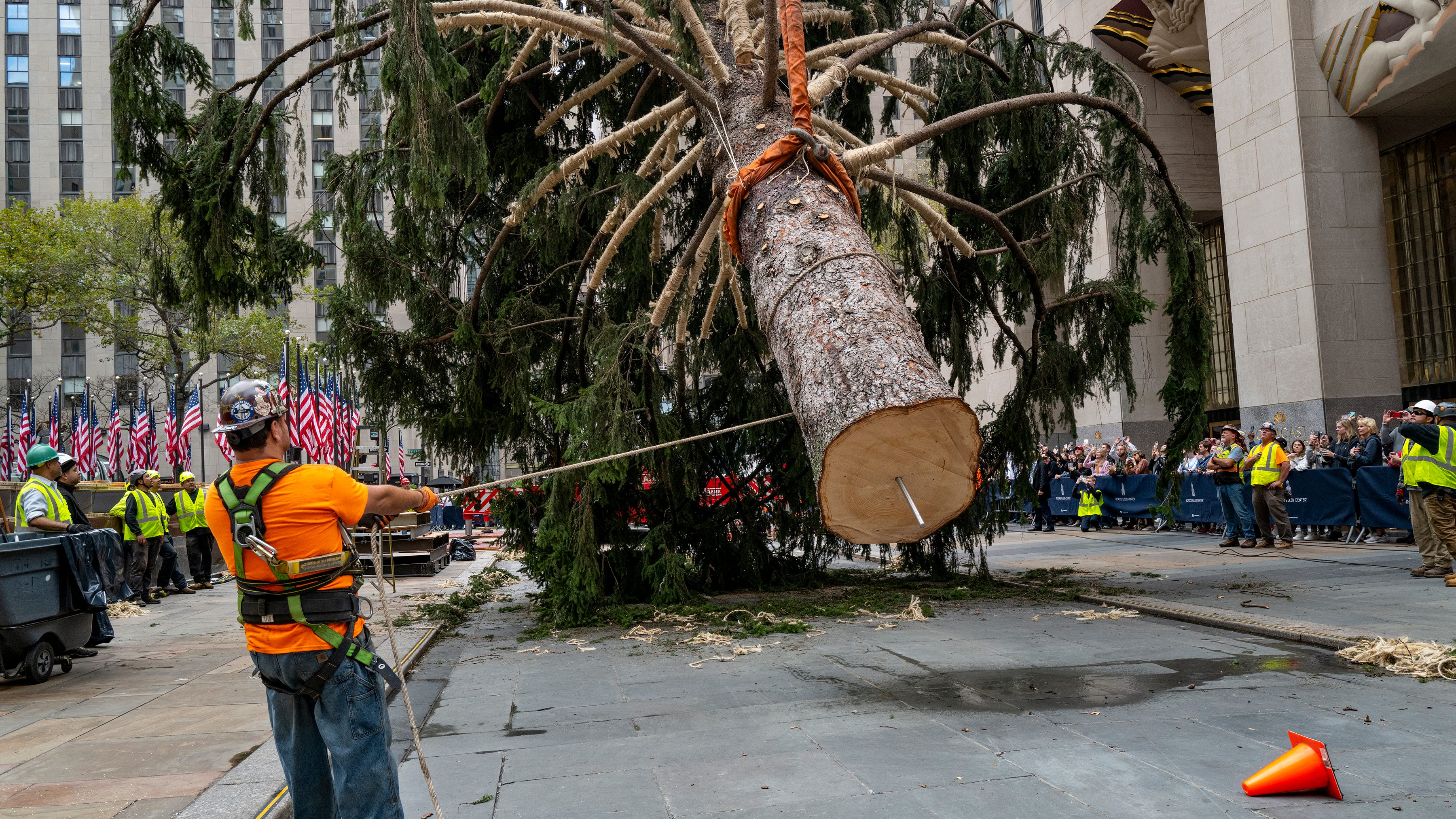 Holiday arrival: Rockefeller tree ushers in Christmas season