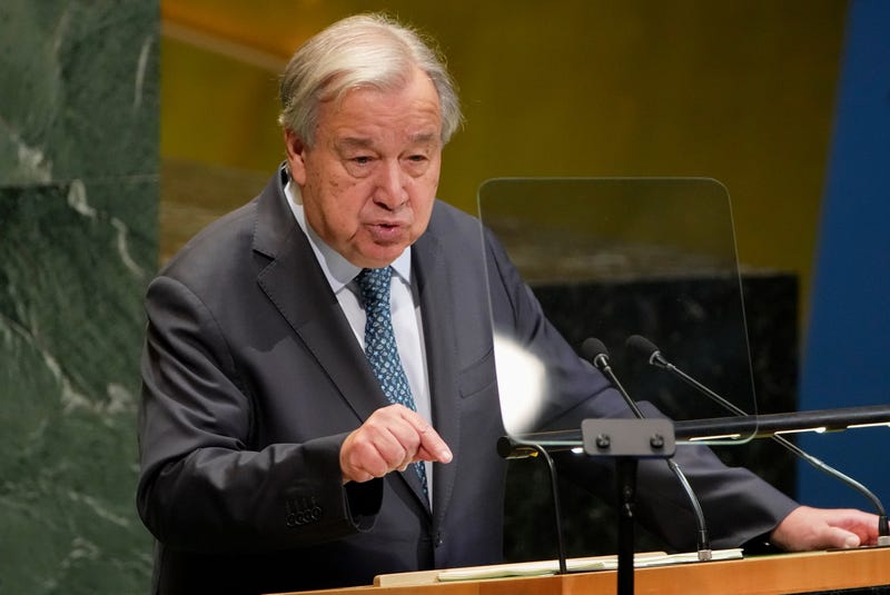 UN General Assembly