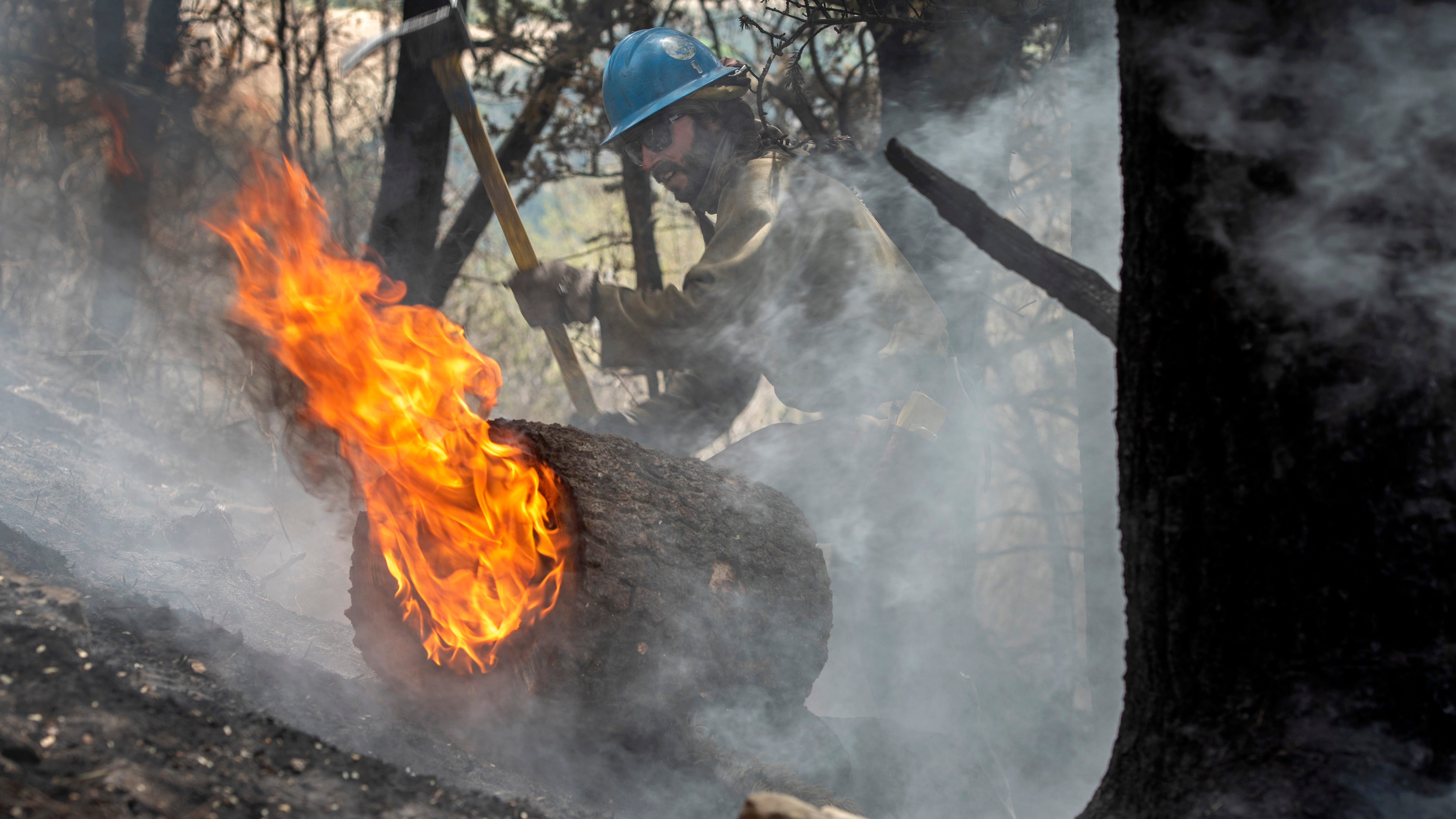 New Mexico wildfire scar burn has forest officials worried