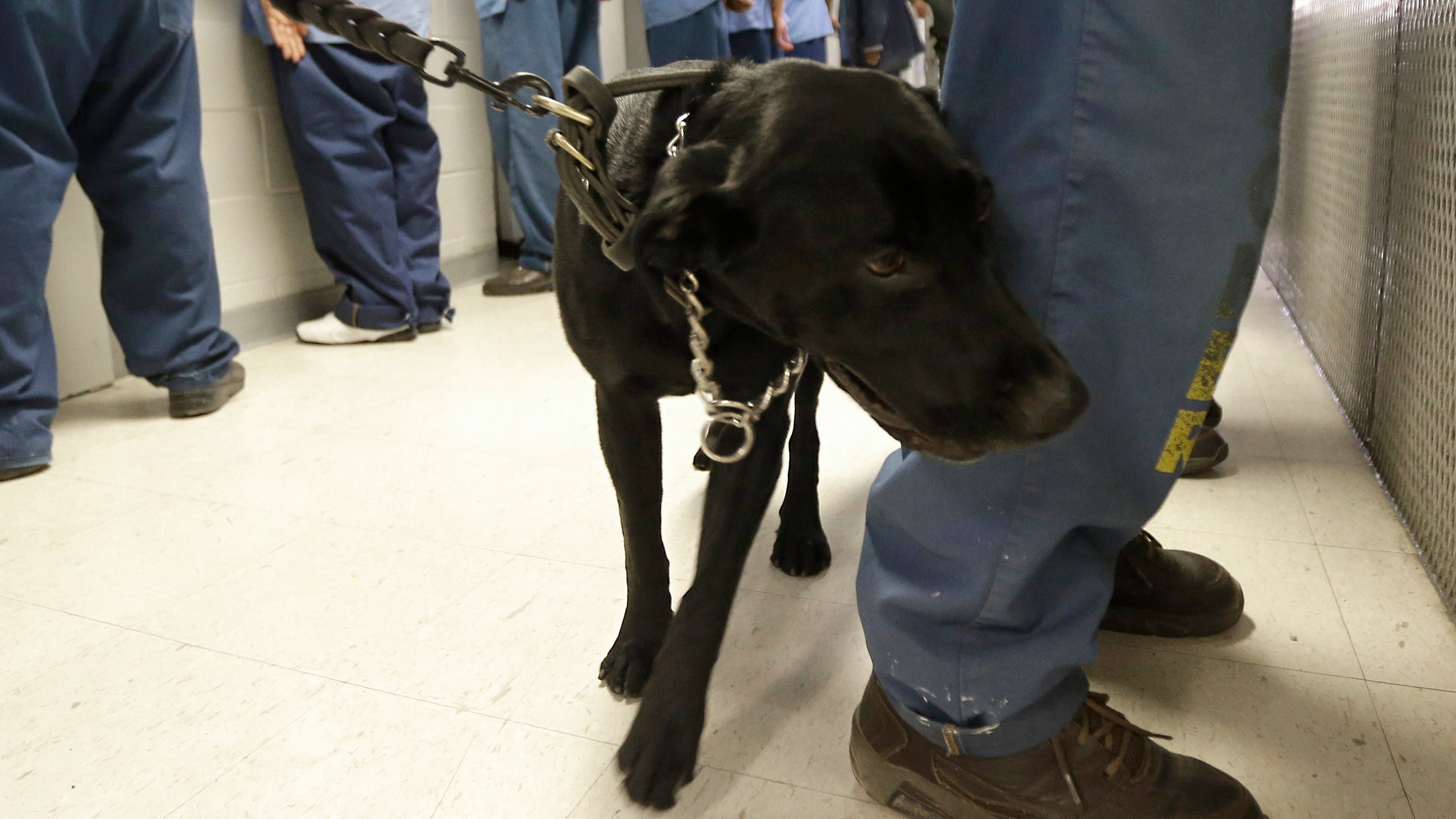California inmate overdoses plummet under drug program