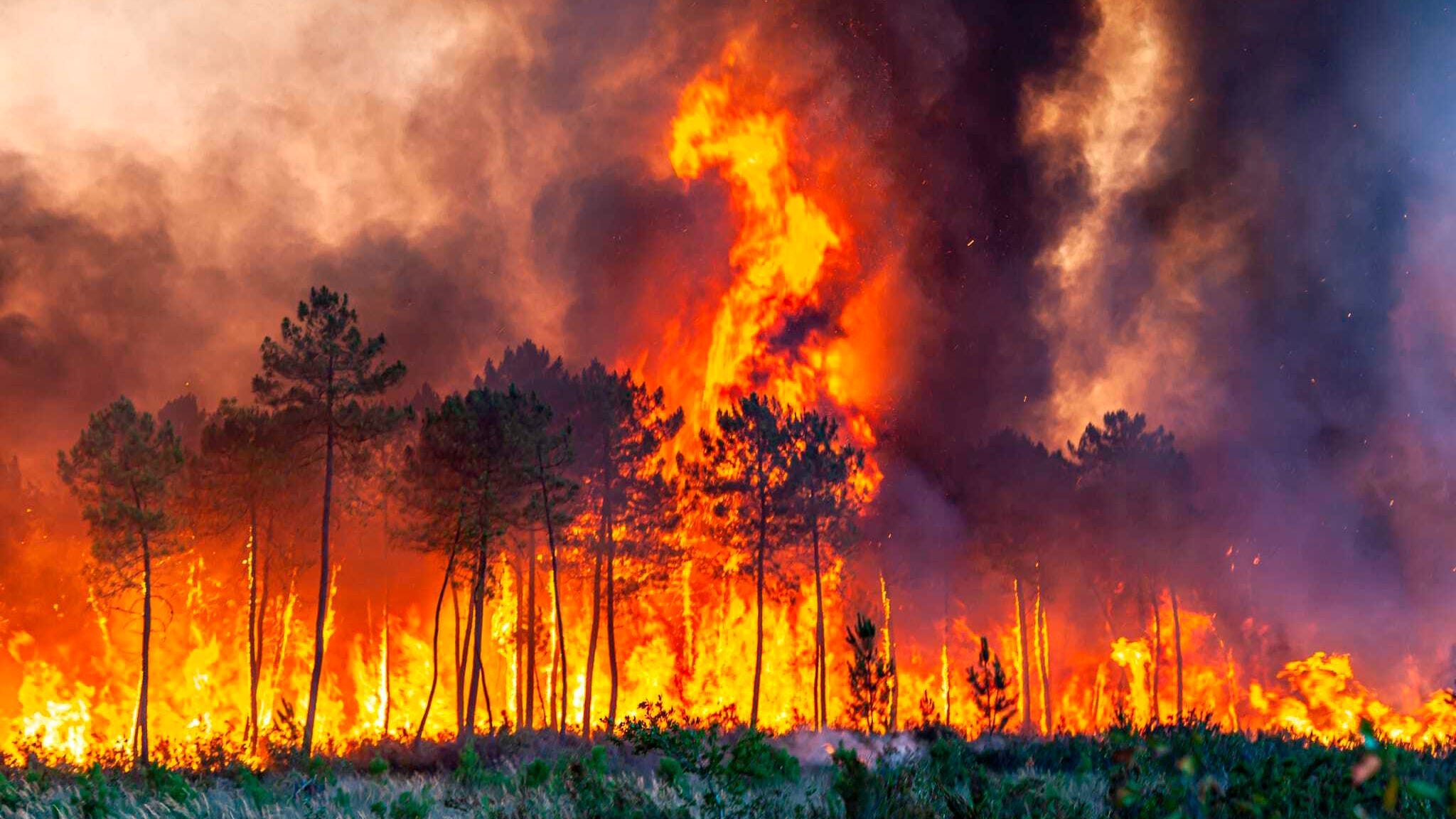 Europe broils in heat wave that fuels fires in France, Spain