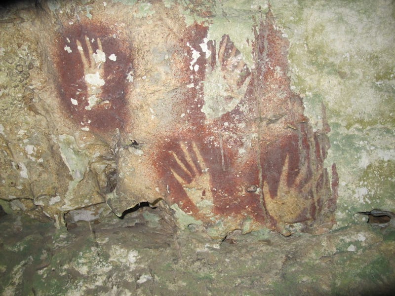 Oldest Cave Art