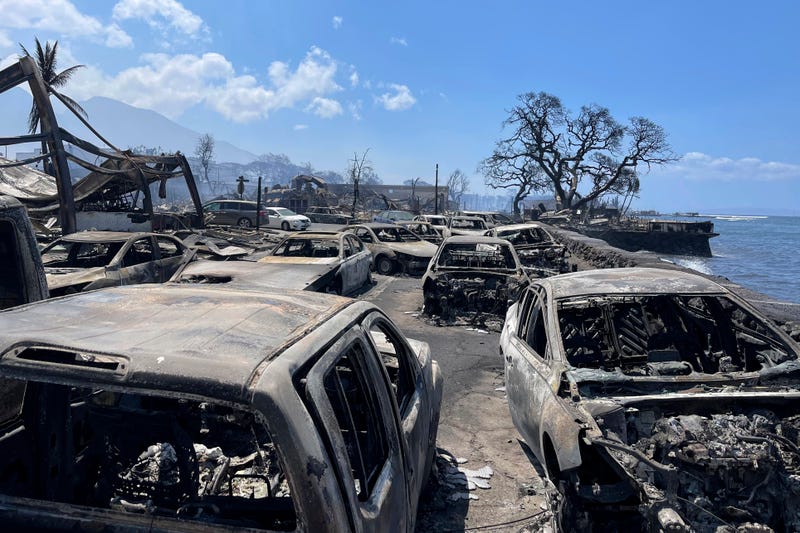 APTOPIX Hawaii Fires