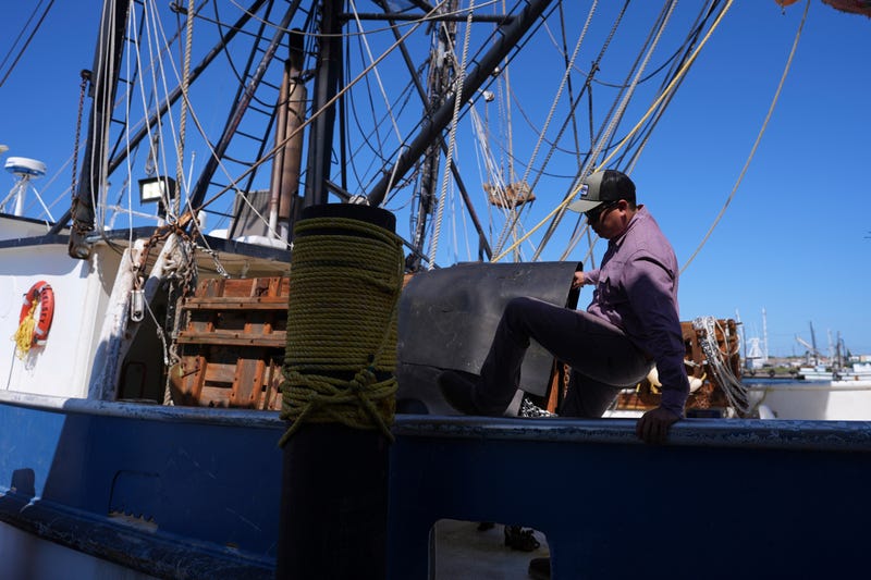 Trump Tariffs Shrimp Industry