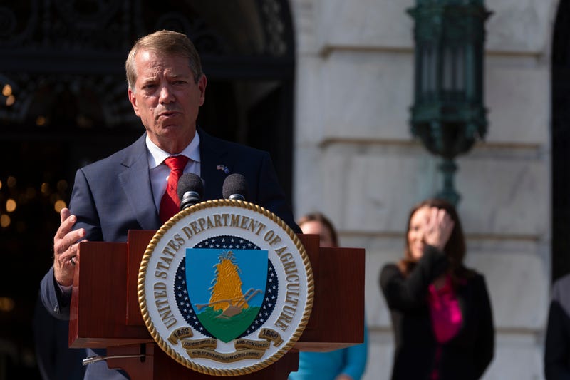 Gerrymandering or Dummymandering