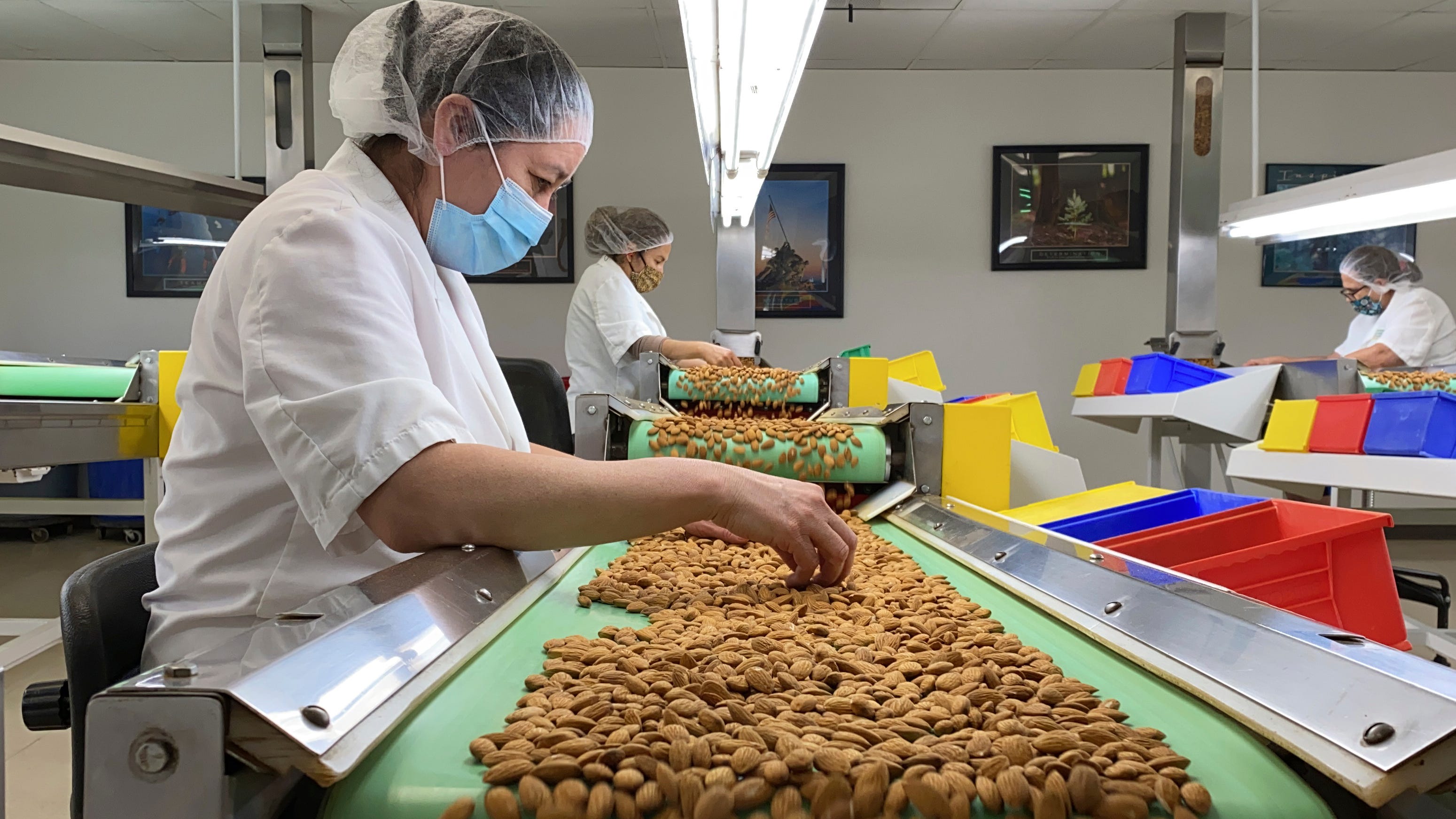 California drought takes toll on world's top almond producer