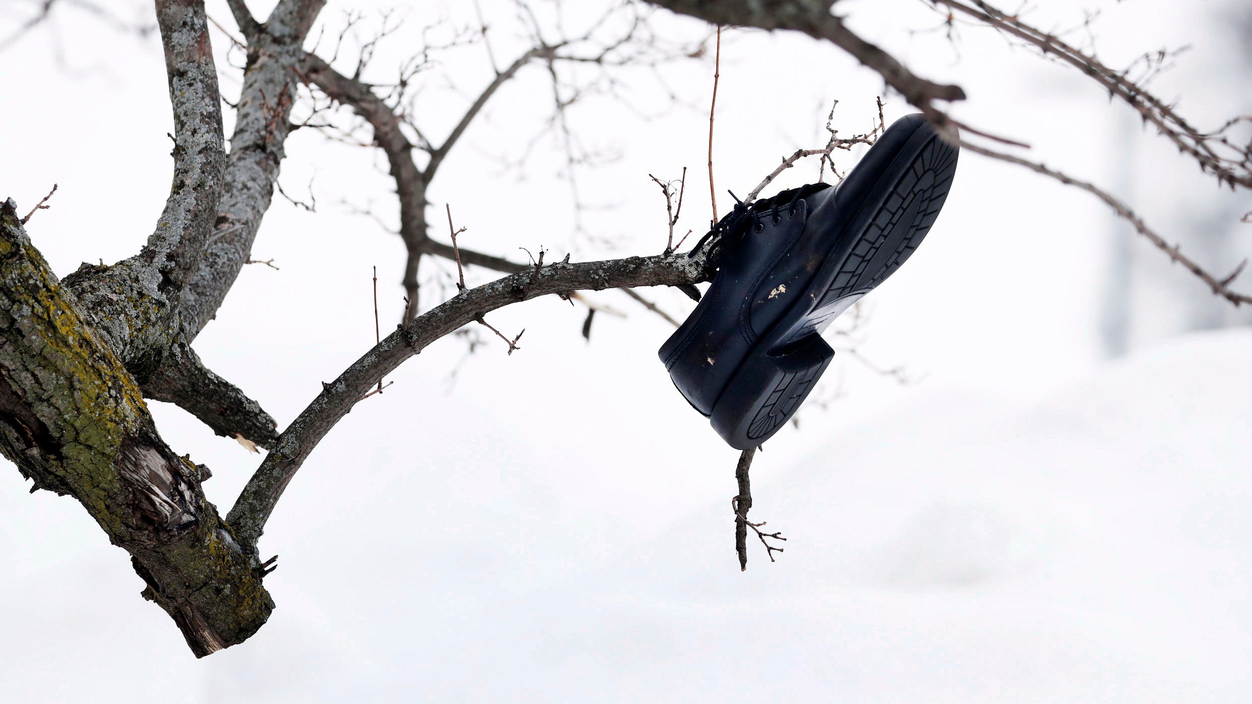 Buffalo prevé hallar más víctimas de la tormenta invernal