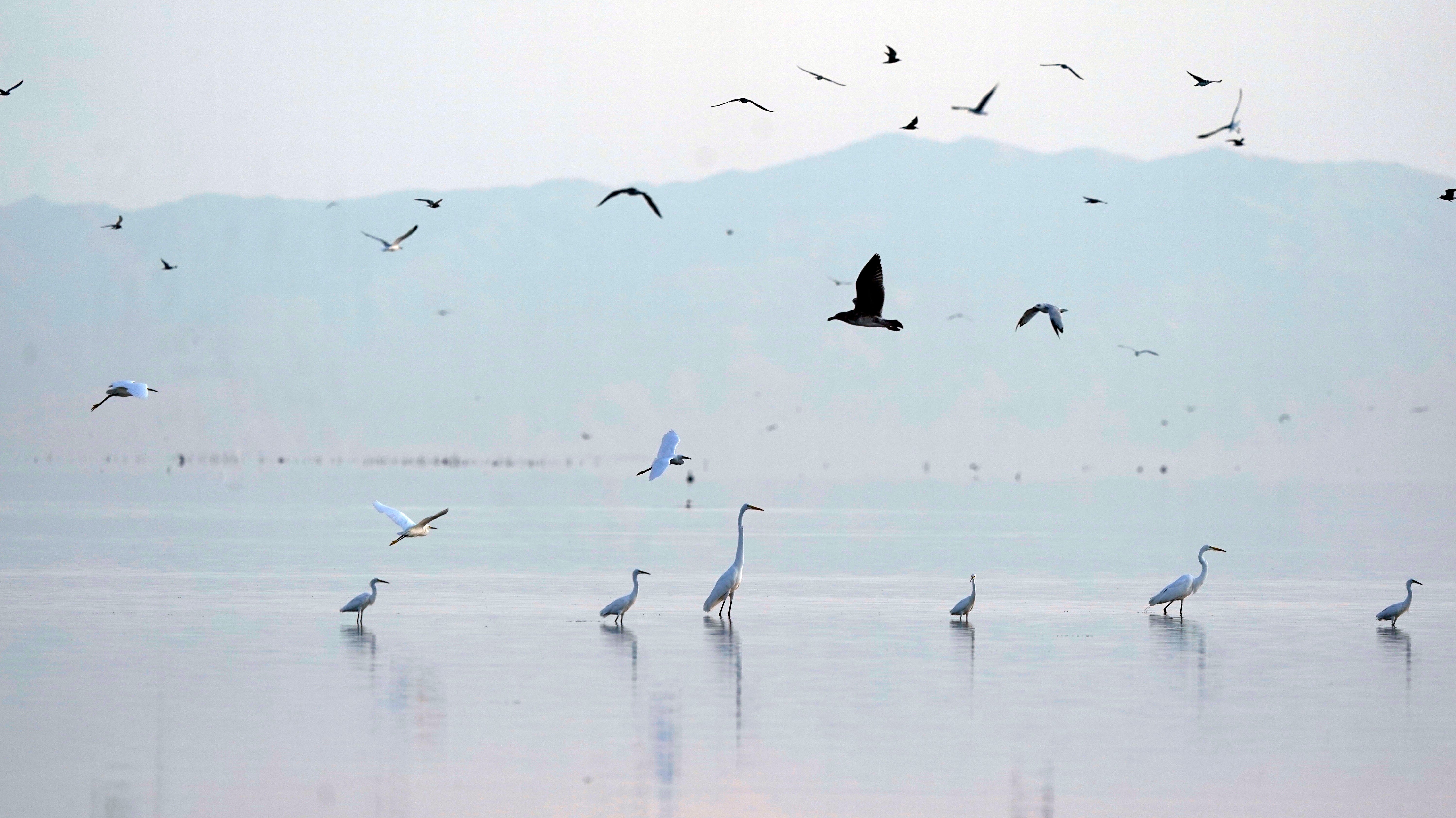 Drying California lake to get $250M in US drought funding
