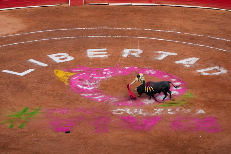 APTOPIX Mexico Bullfighting