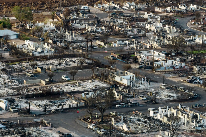 Hawaii Wildfire Lahaina's Future