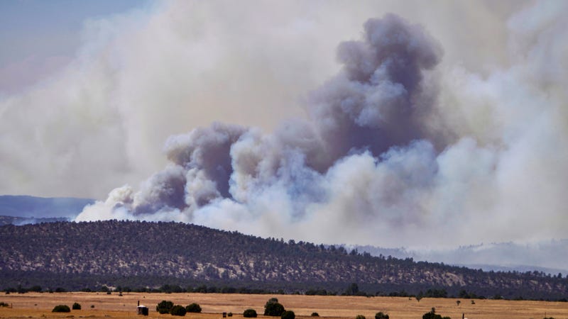 Spring Wildfires